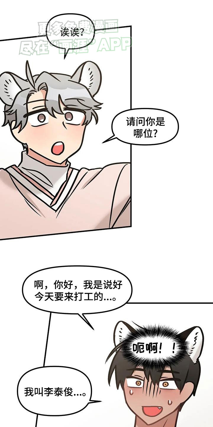 胆怯的老虎第25话图