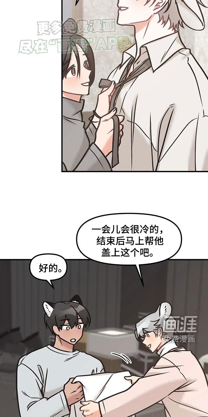 胆怯的老虎第26话图