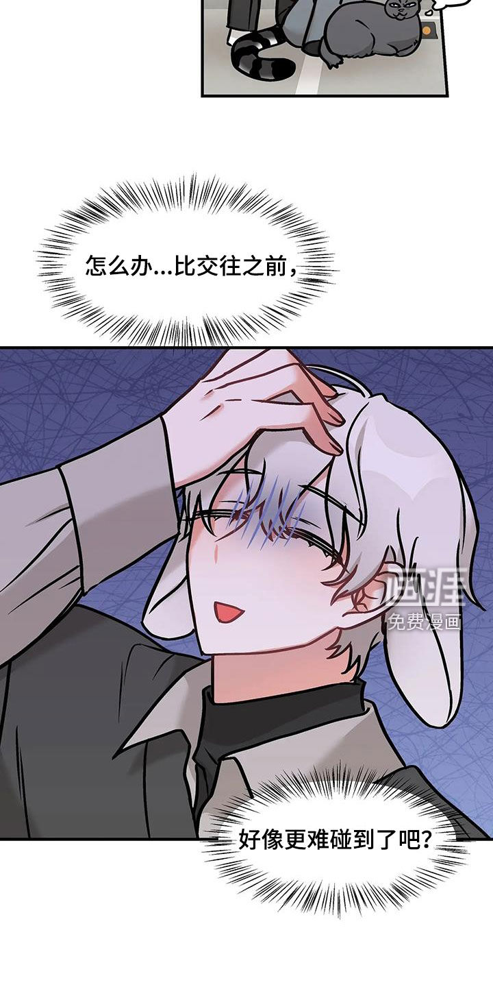 胆怯的老虎第40话图