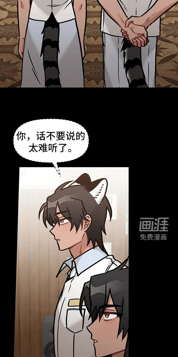 胆怯的老虎第43话图