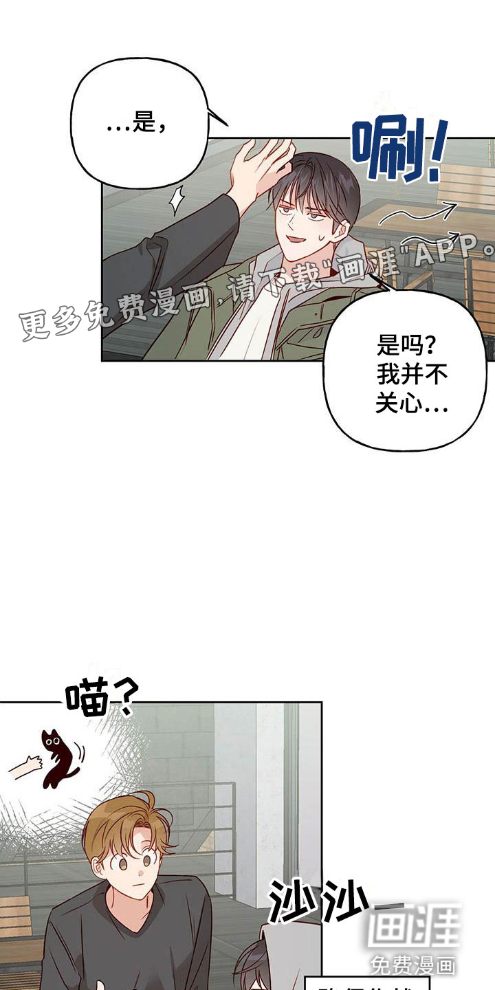 兜帽陷阱第22话图