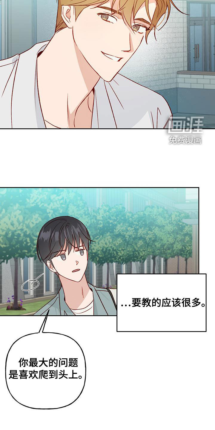 兜帽陷阱第47话图