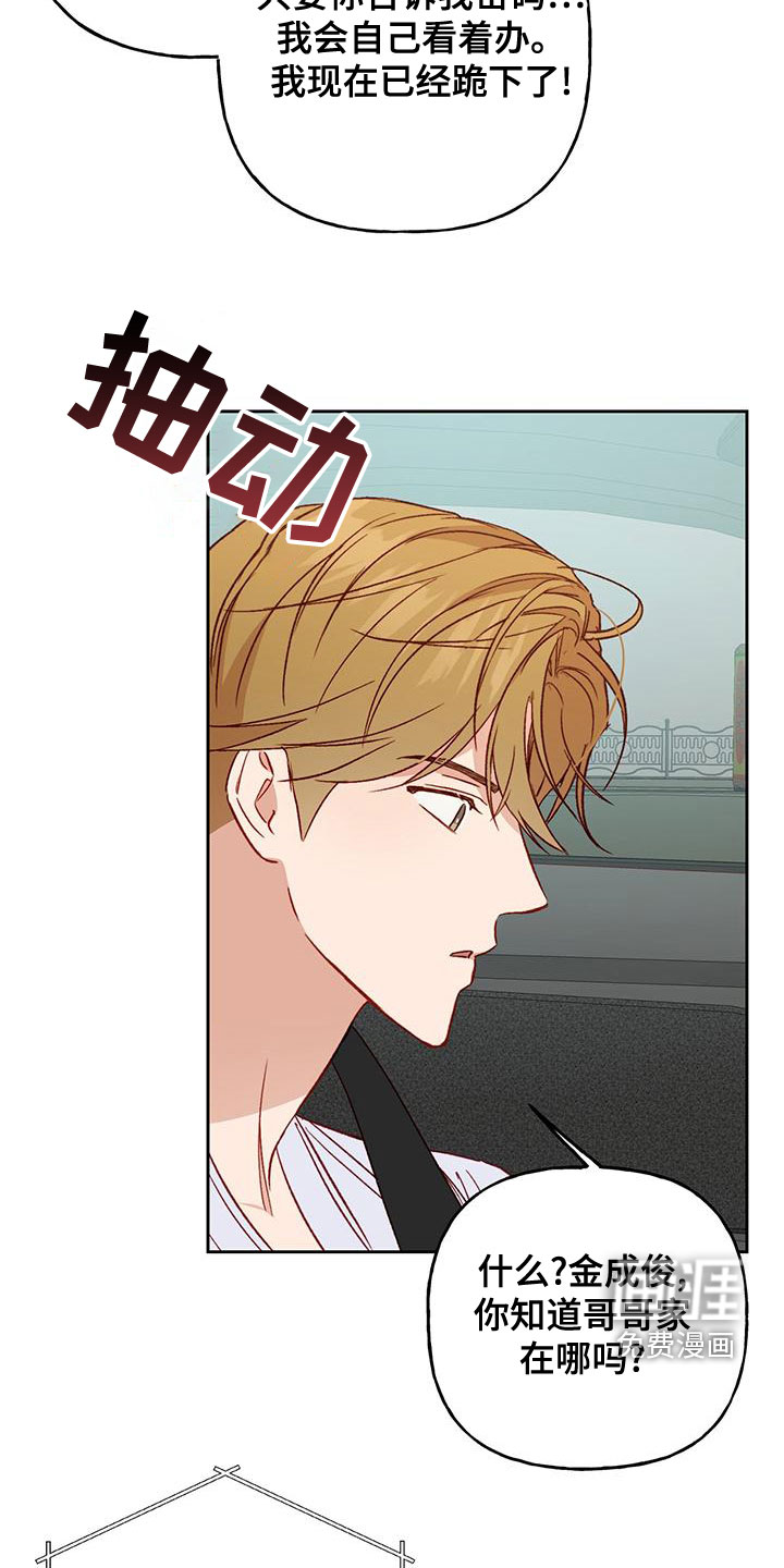 兜帽陷阱第49话图