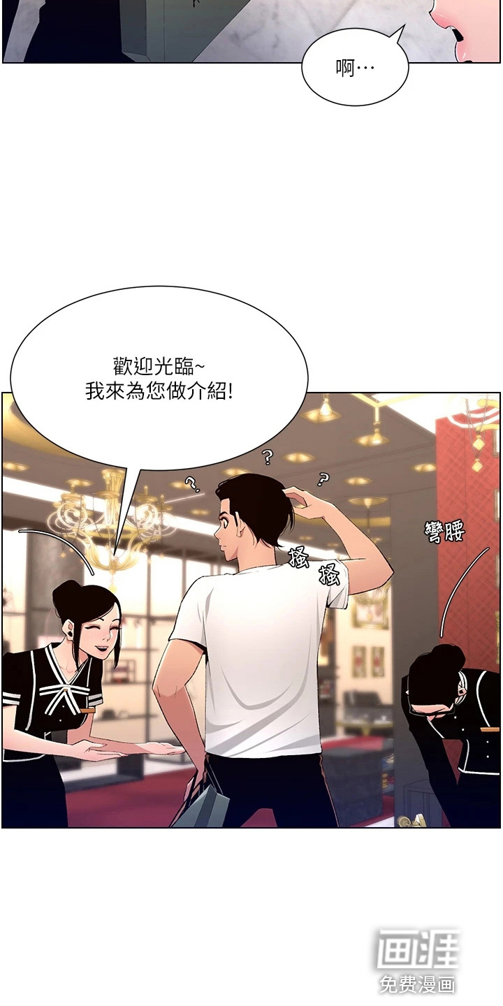 帝王软件第30话图