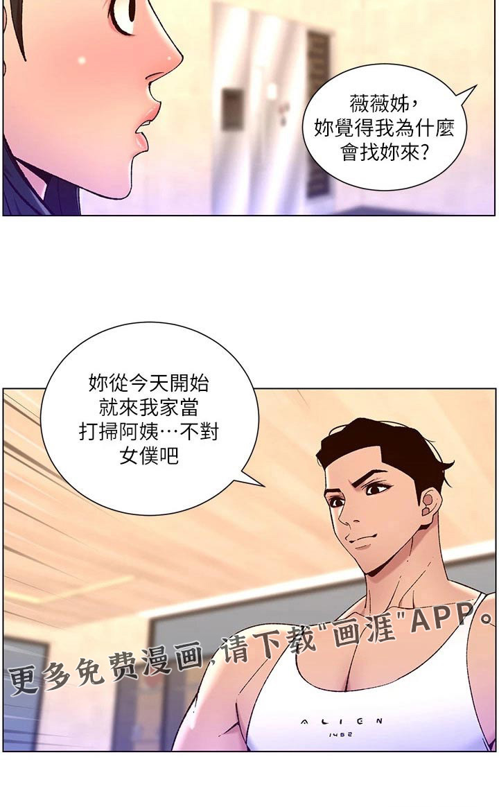 帝王软件第43话图