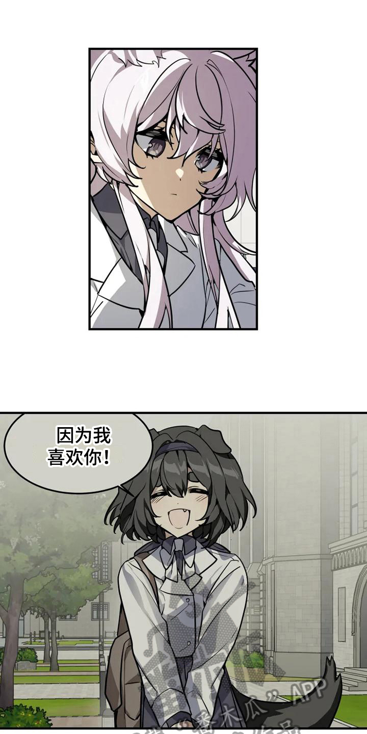 动物校园第11话图