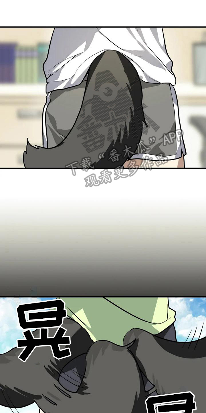 动物校园第15话图