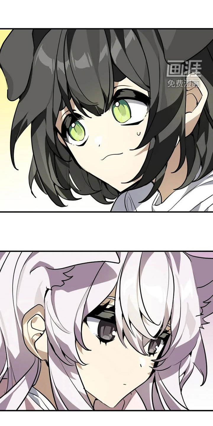 动物校园第17话图