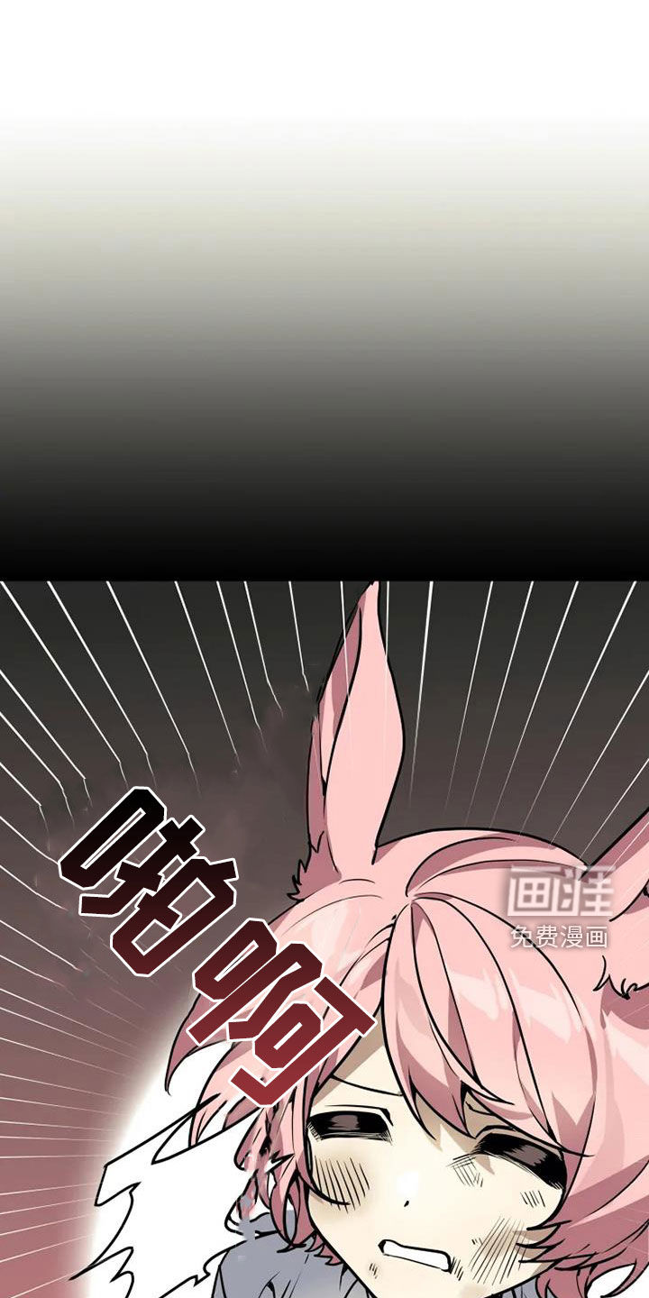 动物校园第25话图