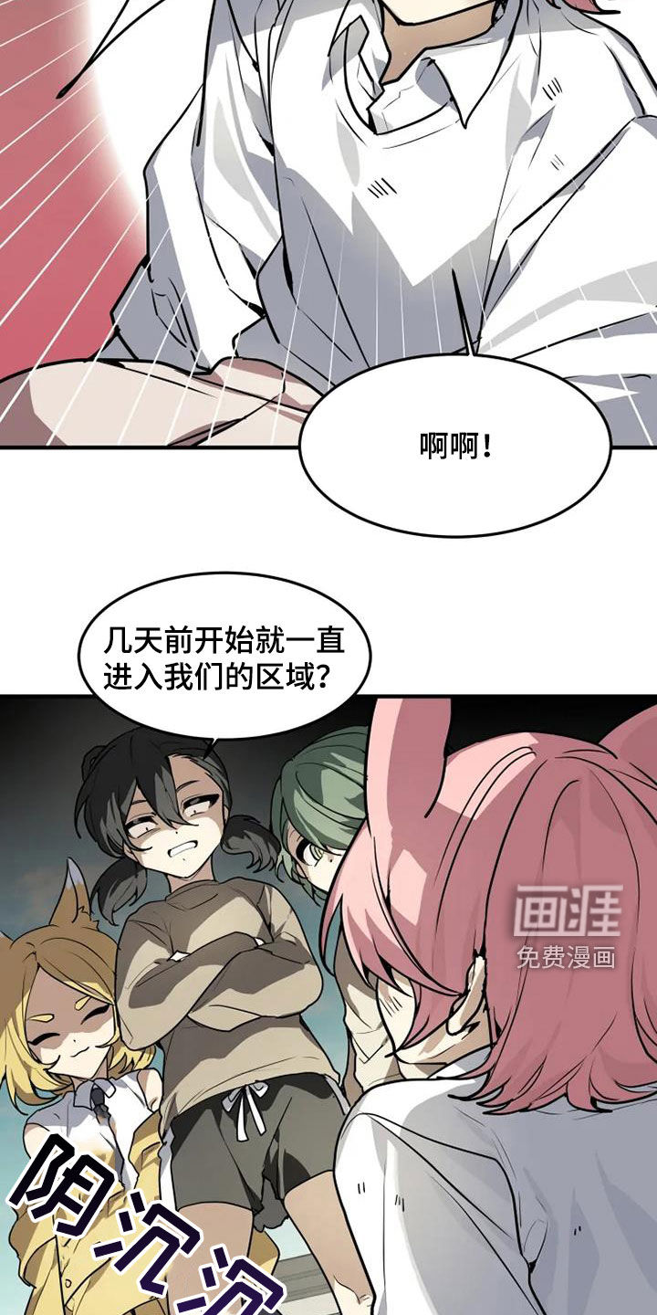 动物校园第25话图