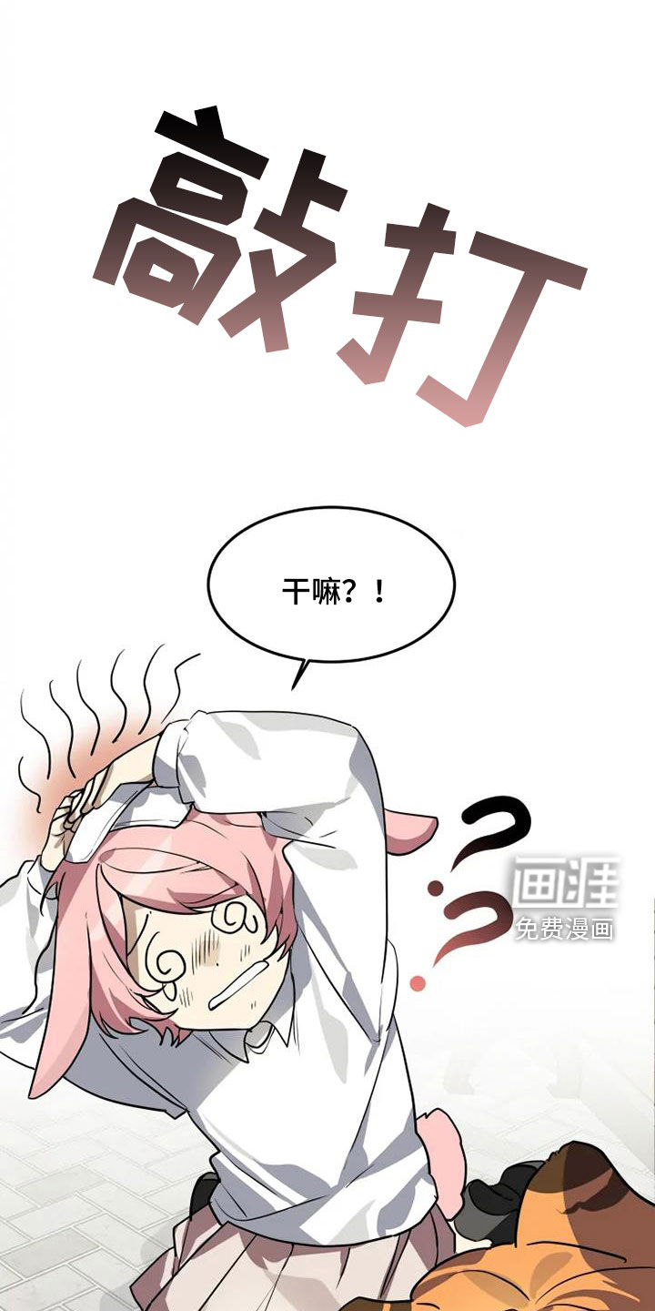 动物校园第26话图