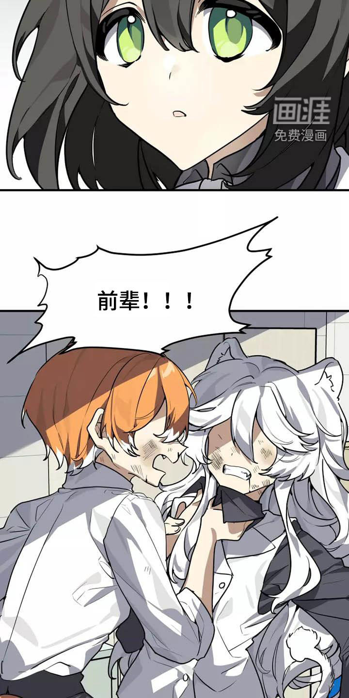 动物校园第33话图