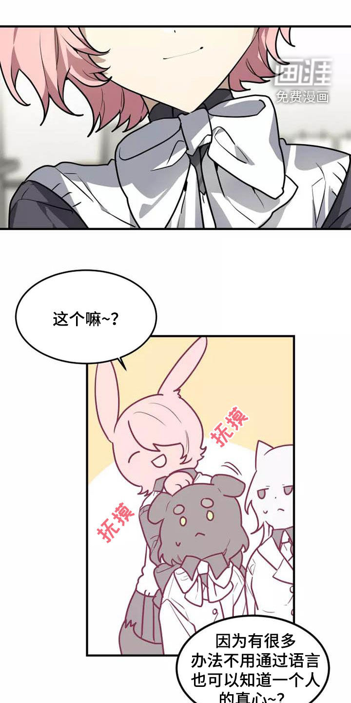 动物校园第34话图