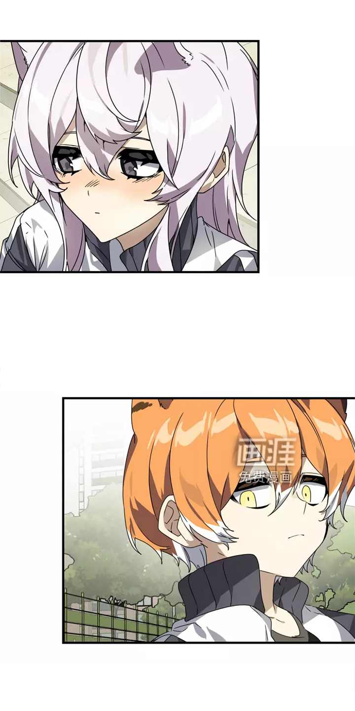 动物校园第38话图