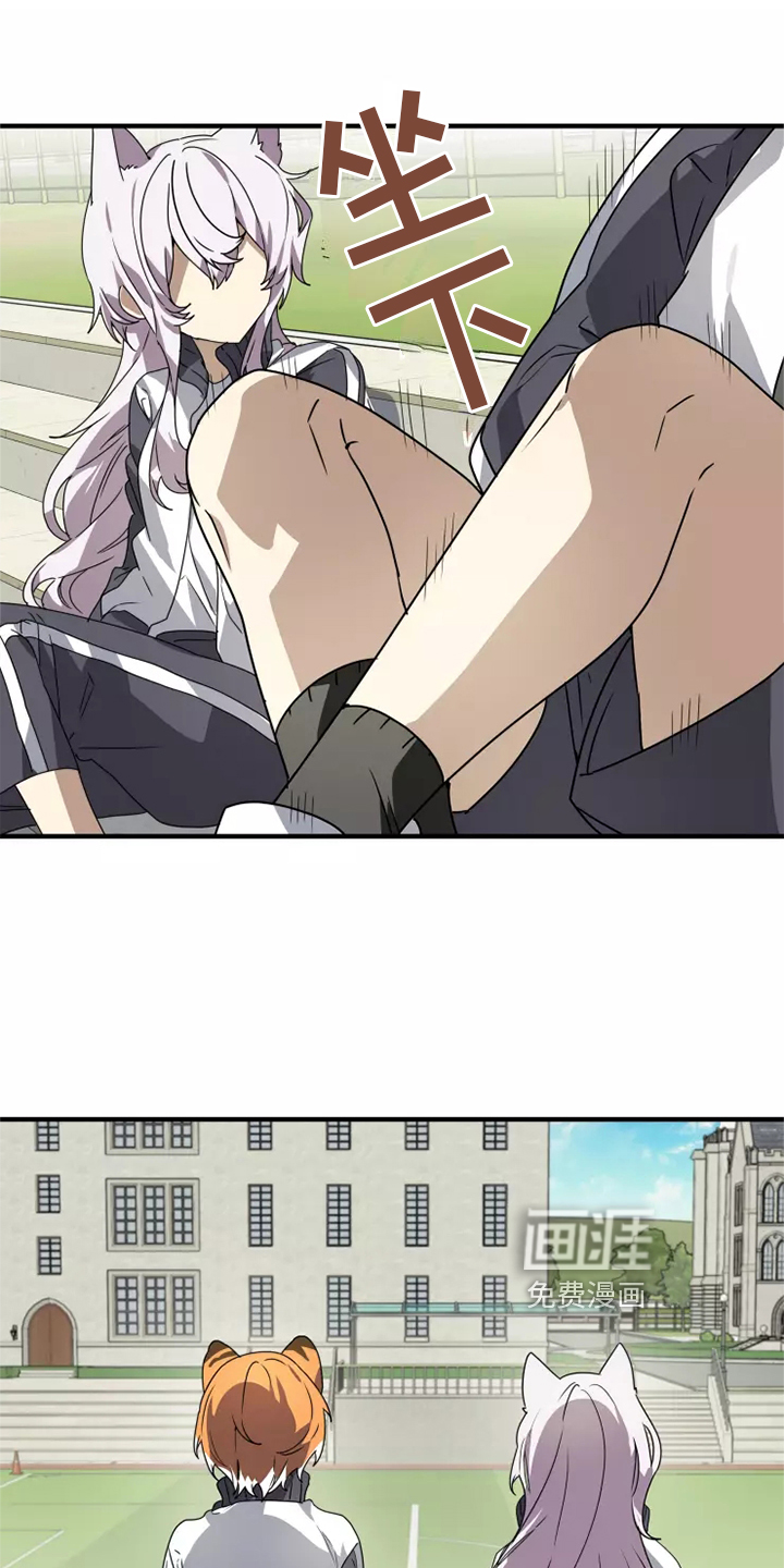 动物校园第38话图