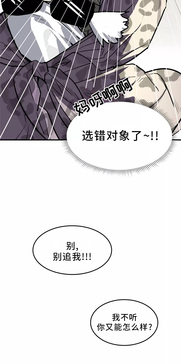 动物校园第39话图