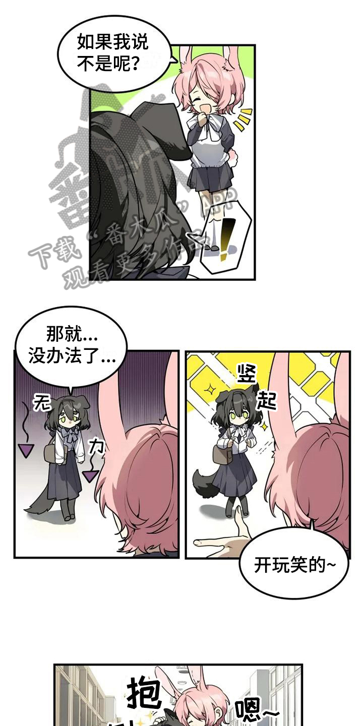 动物校园第4话图