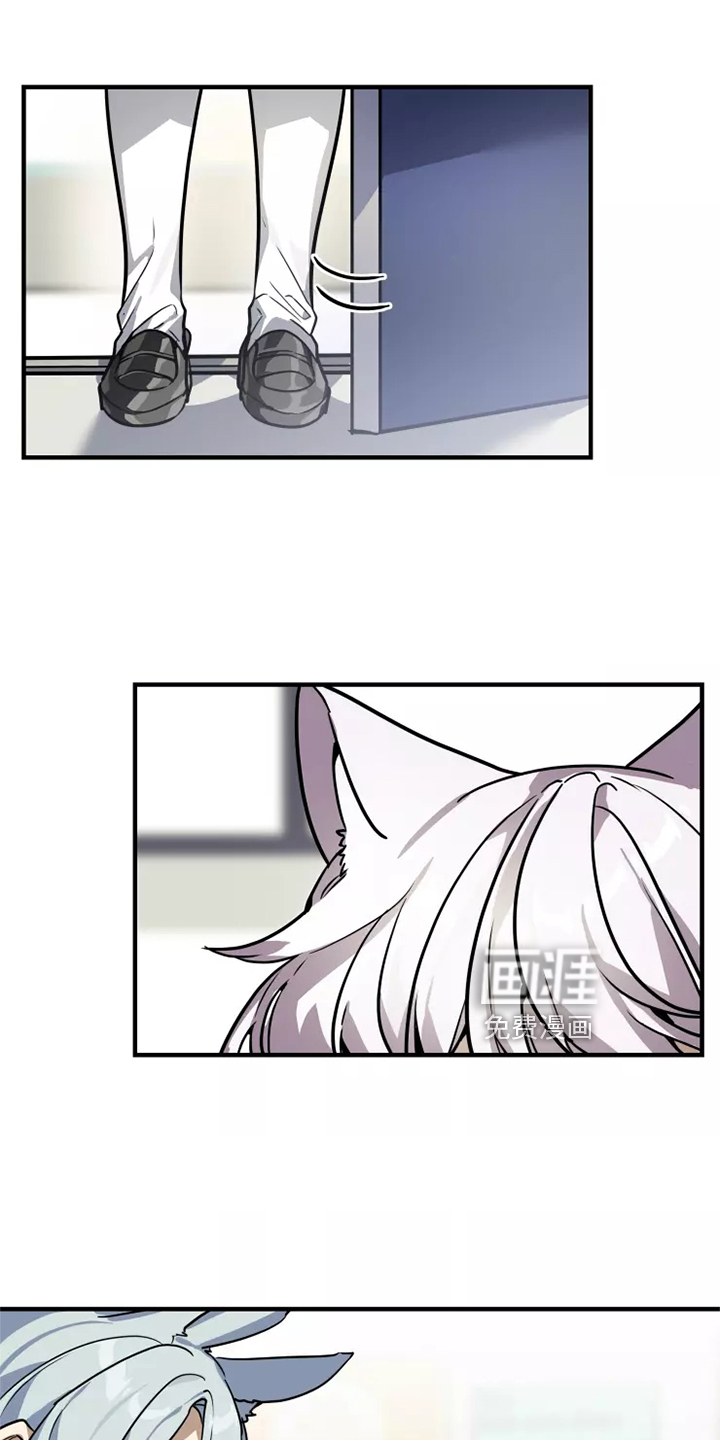 动物校园第41话图