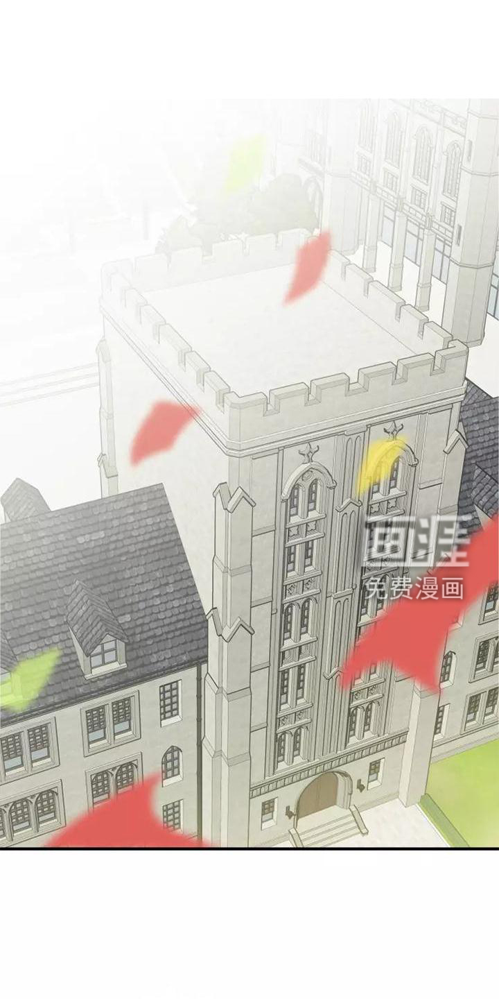 动物校园第47话图