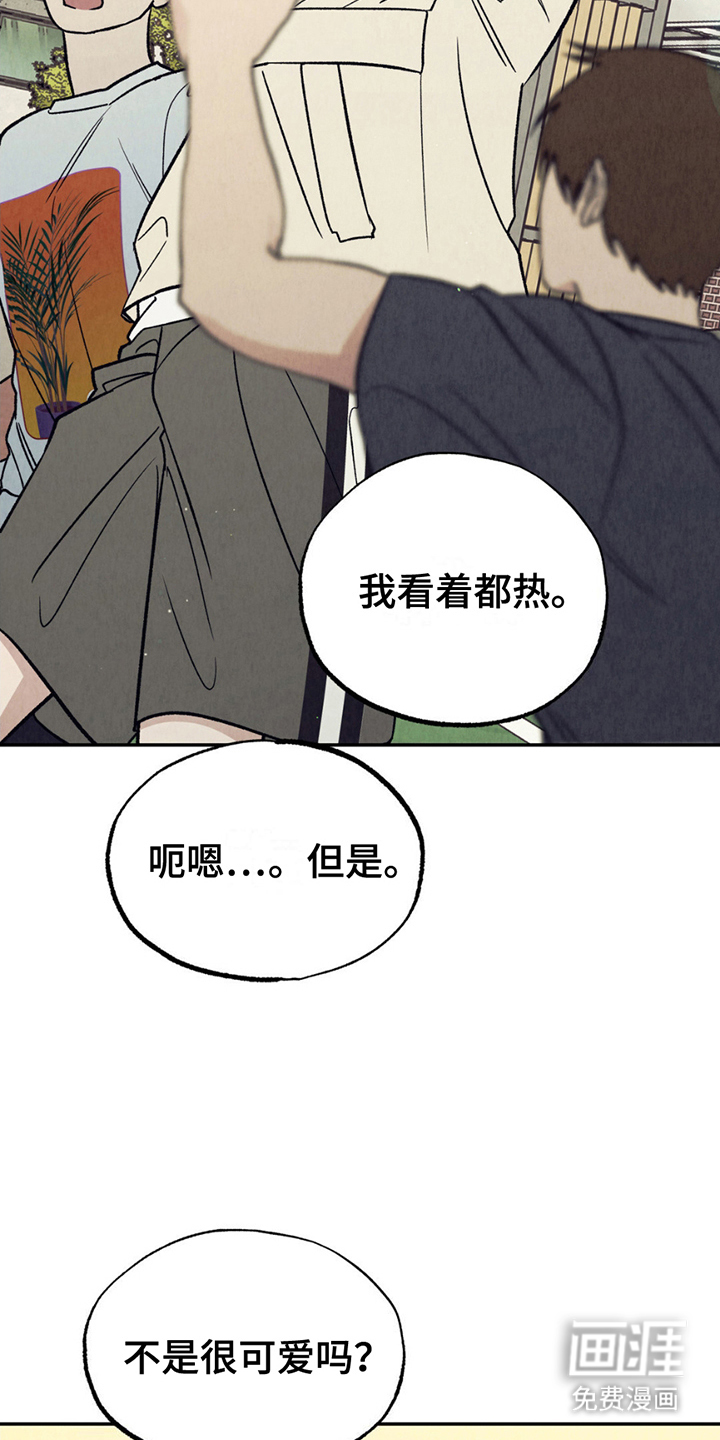 当我变成阿尔法第19话图