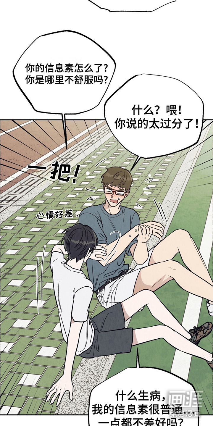 当我变成阿尔法第19话图