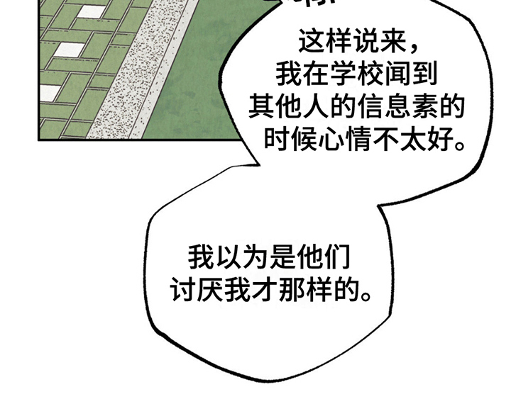 当我变成阿尔法第19话图