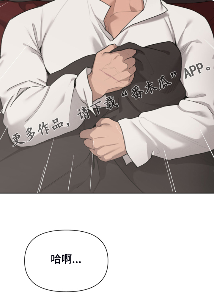 大公子的玩物第48话图