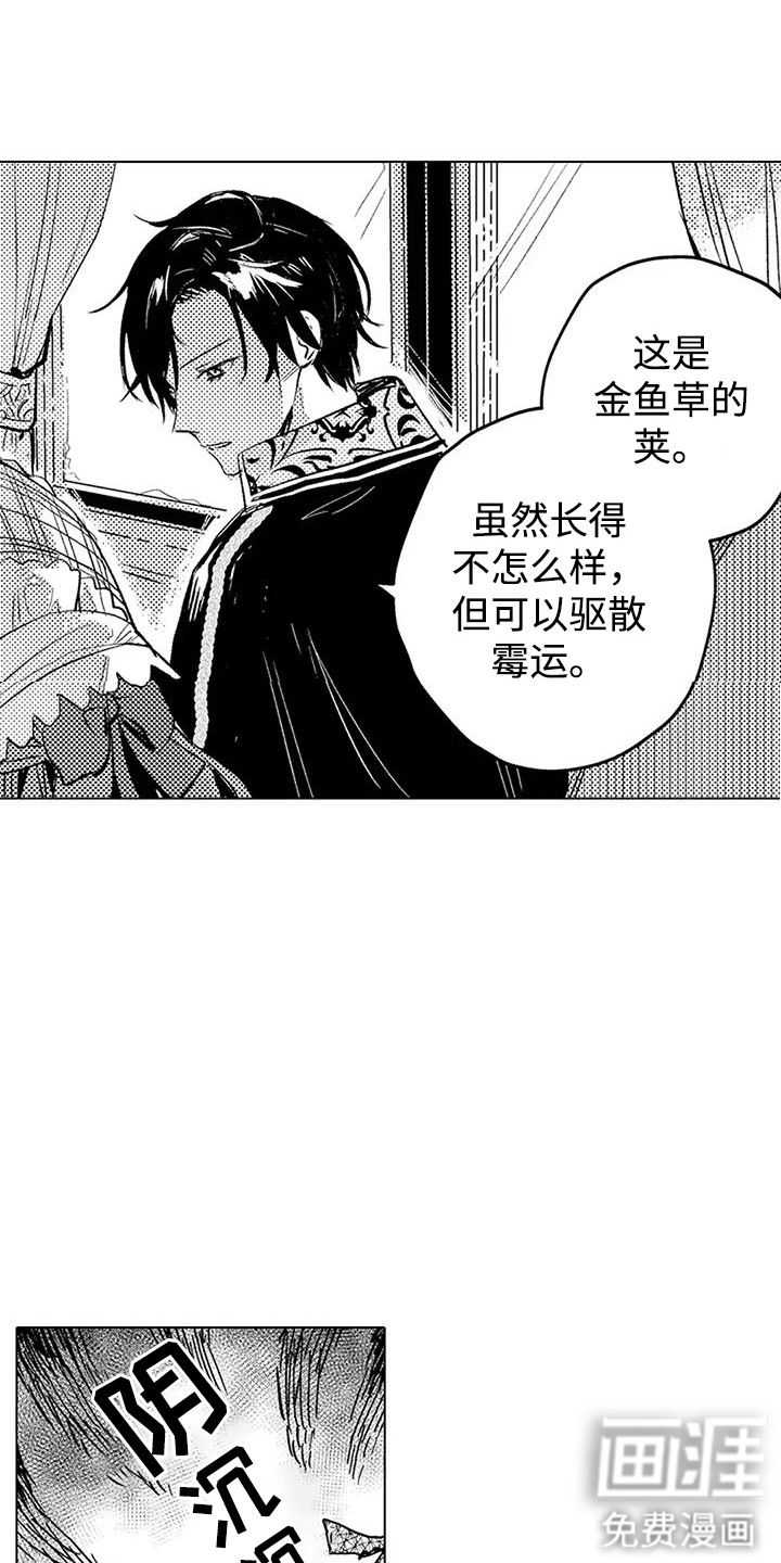 大魔法师的爱女 第15话 第17页