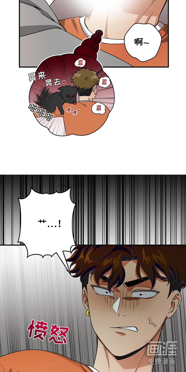 歹徒和跟踪狂第10话图