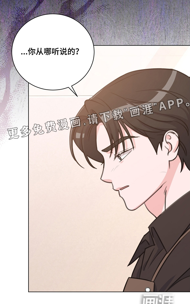 贷命协约第11话图