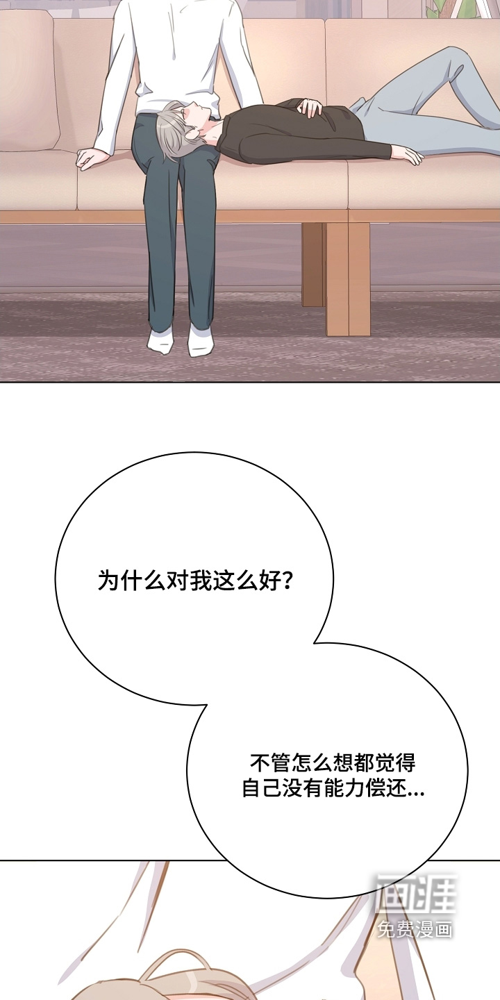 贷命协约第13话图