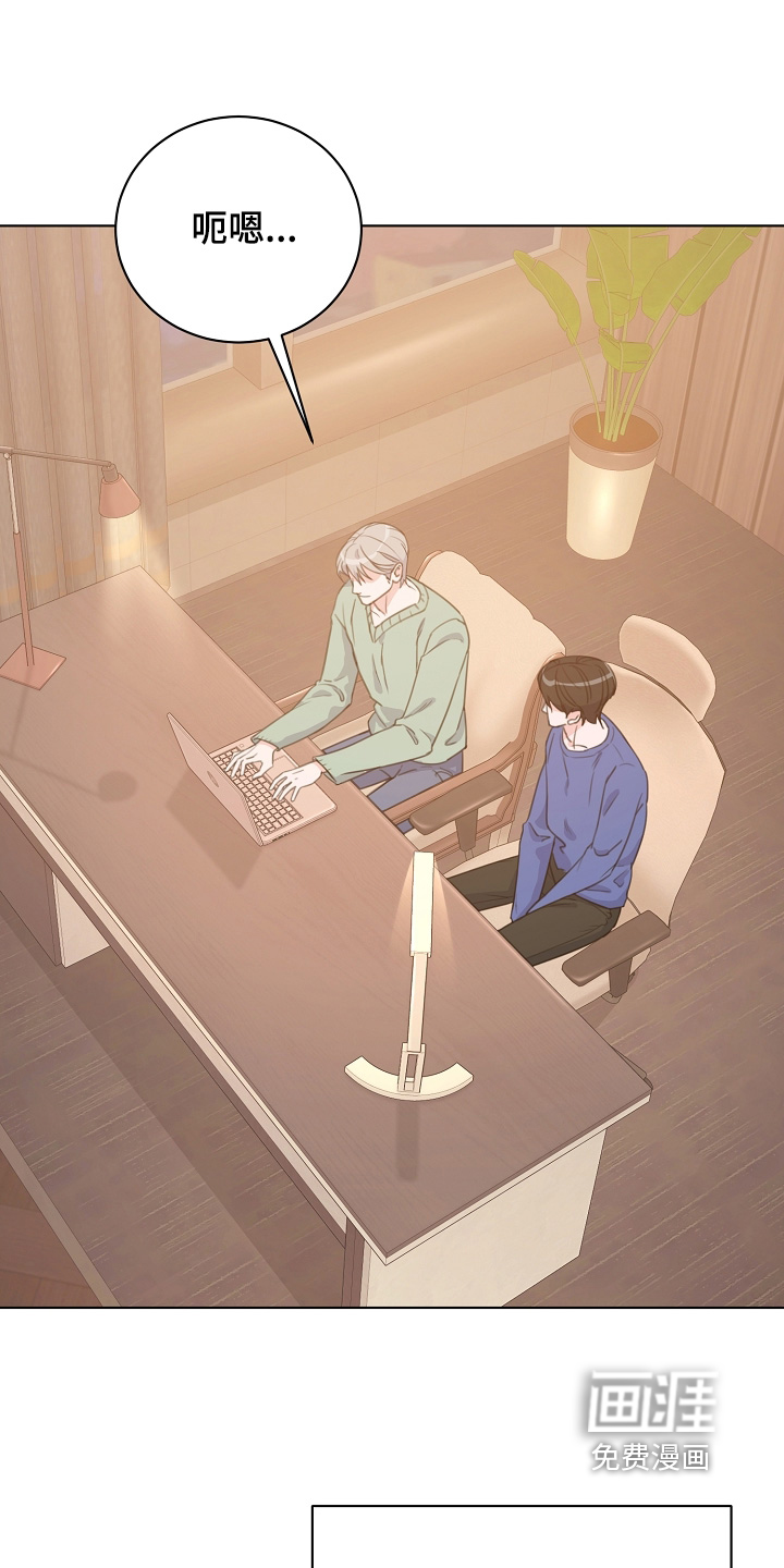 贷命协约第19话图