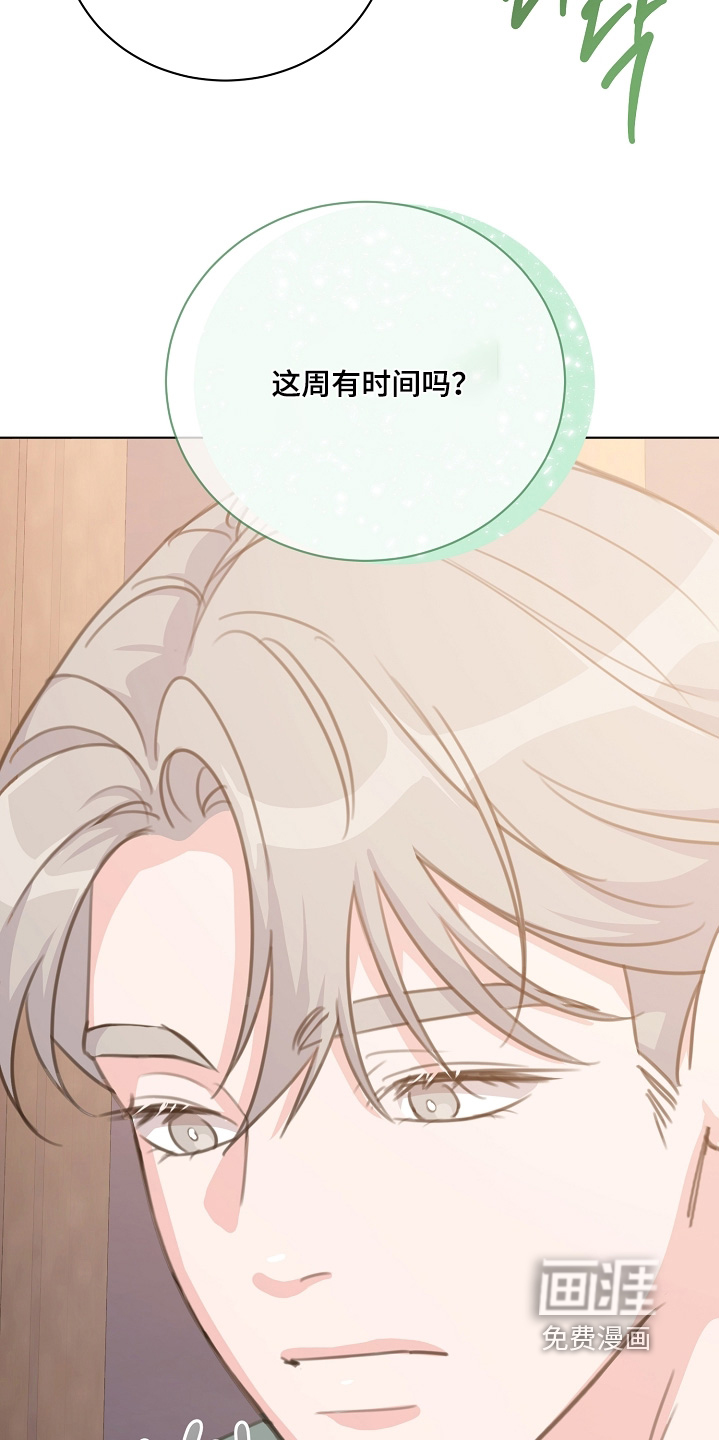 贷命协约第20话图