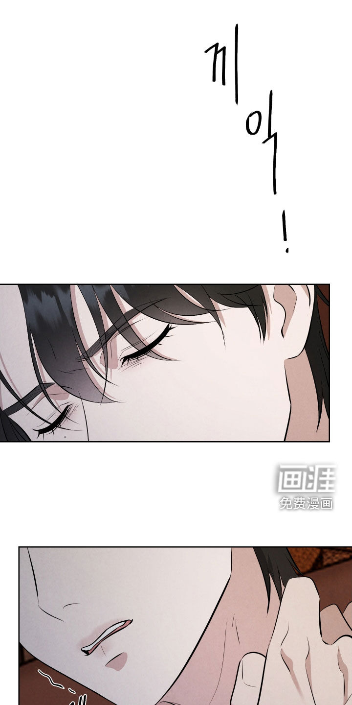 K的诱饵第12话图