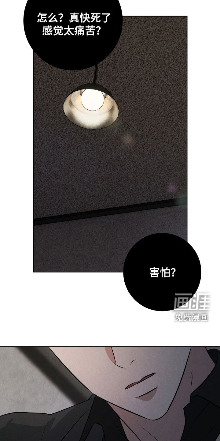 K的诱饵第12话图