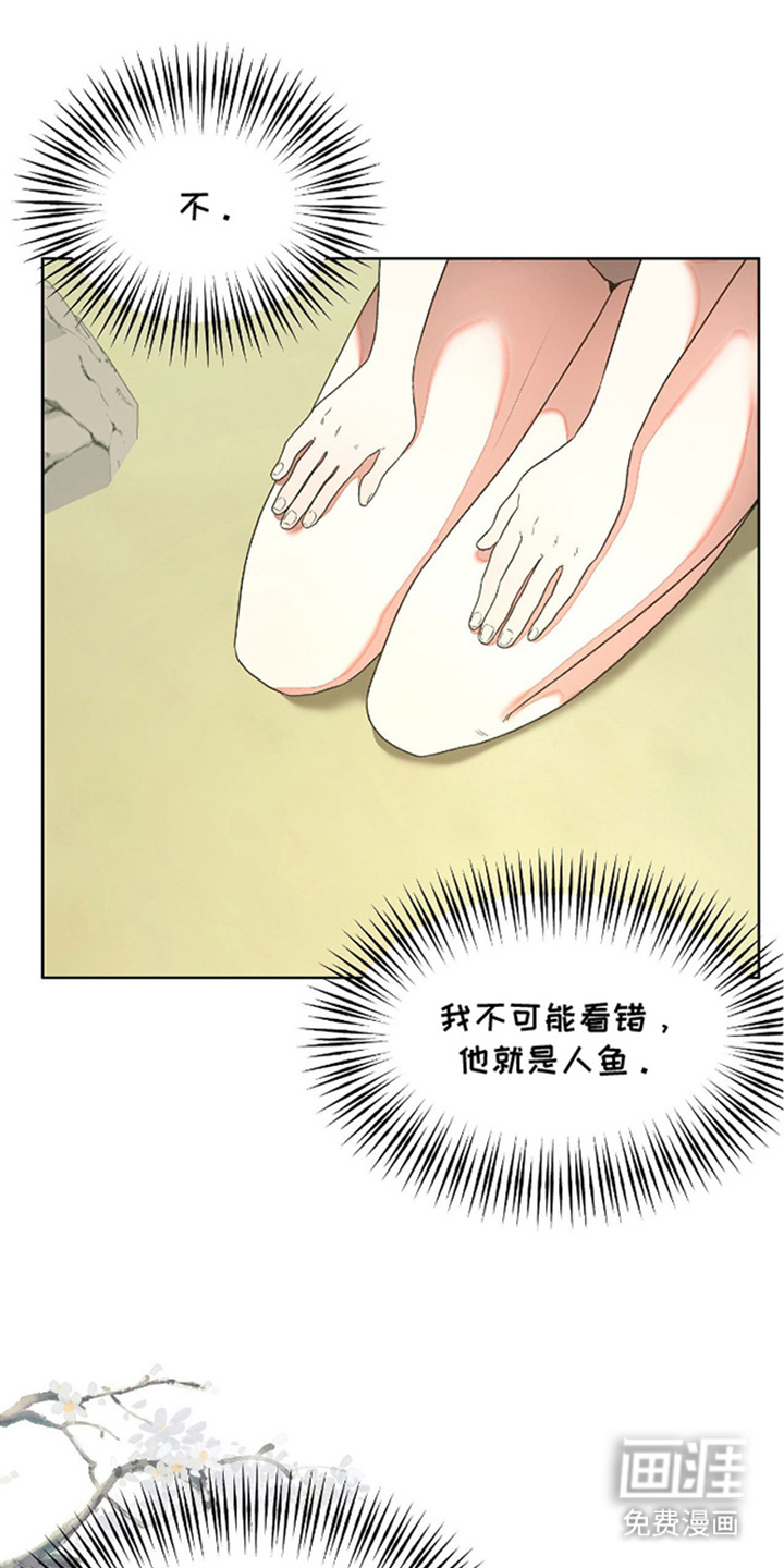 钓个人鱼当室友第4话图