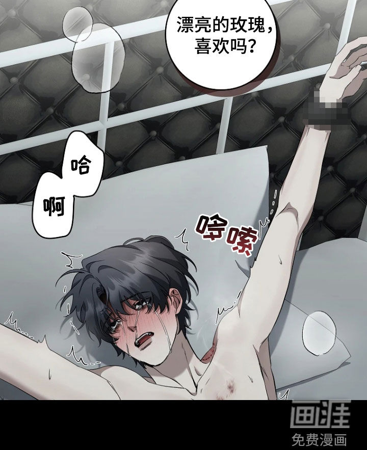 地狱中的爱第19话图