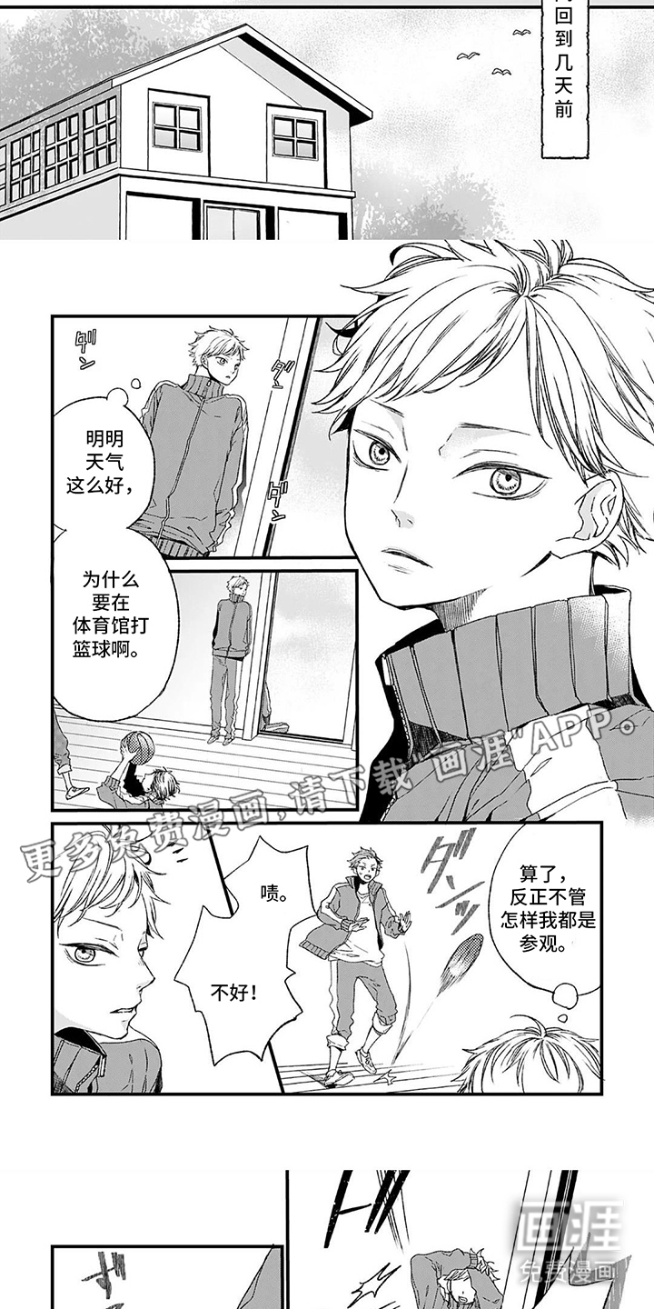 单翼的鸣叫第1话图