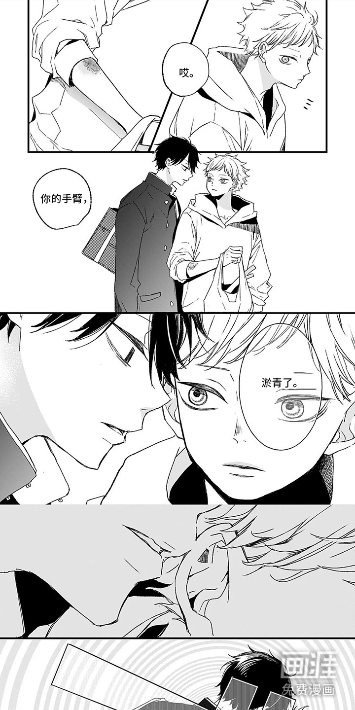 单翼的鸣叫第3话图