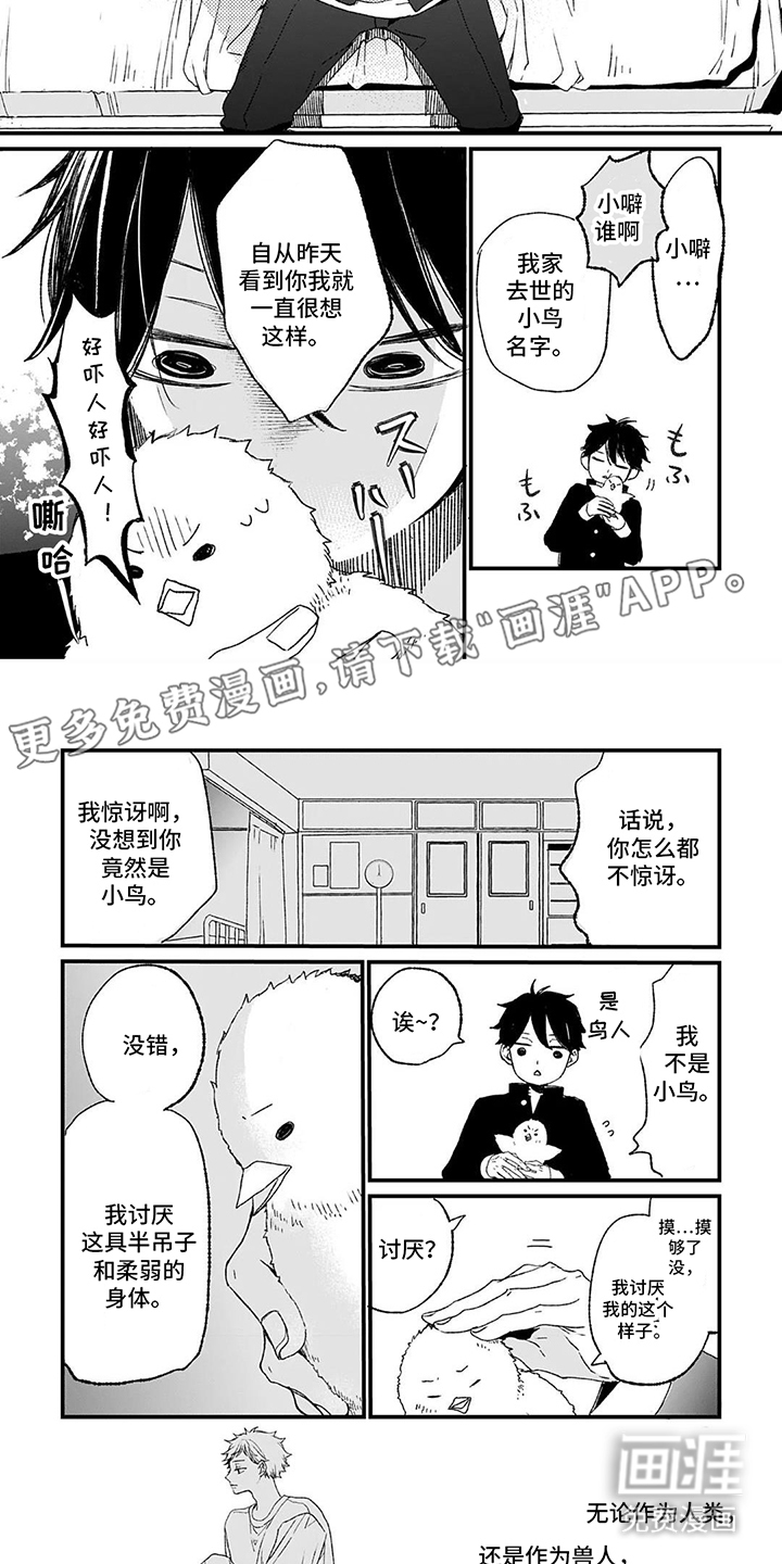 单翼的鸣叫第4话图