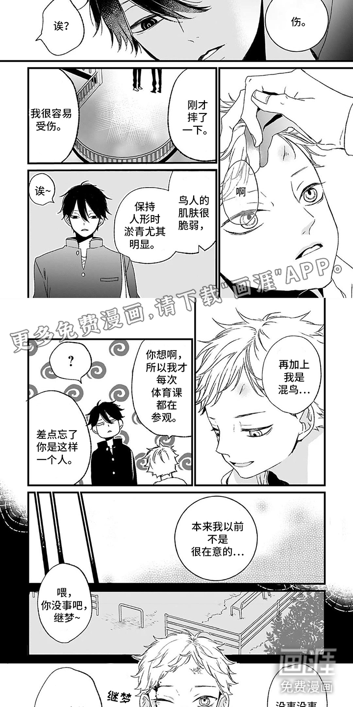 单翼的鸣叫第6话图