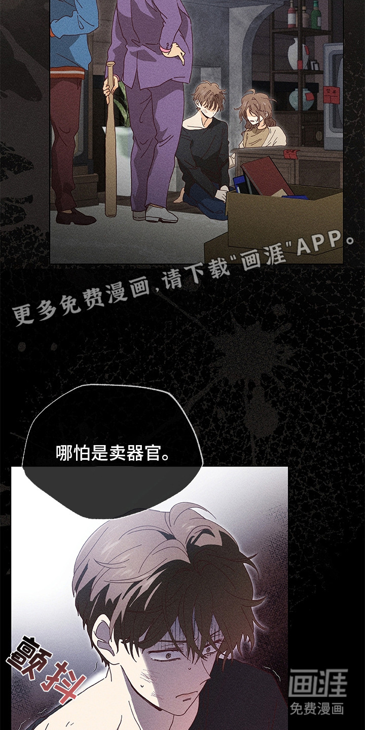 都市美男下乡记漫画-图16