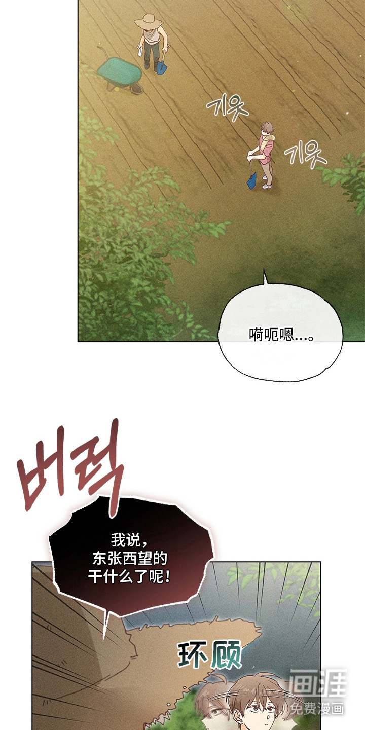 都市美男下乡记漫画-图12