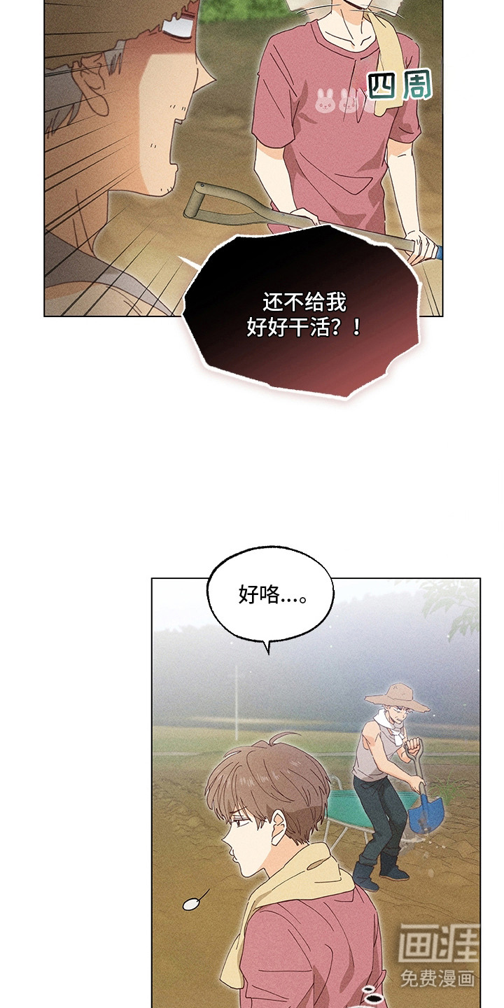 都市美男下乡记漫画-图13