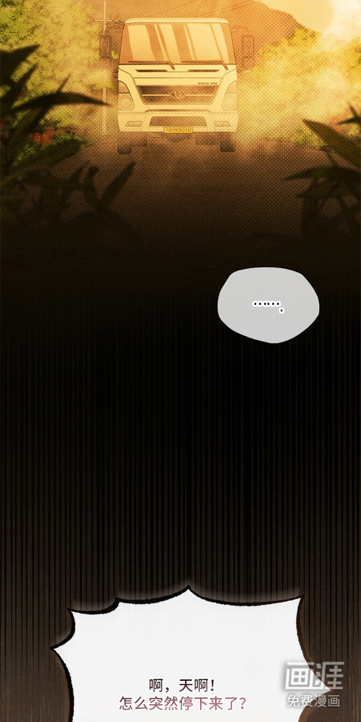 都市美男下乡记漫画-图4