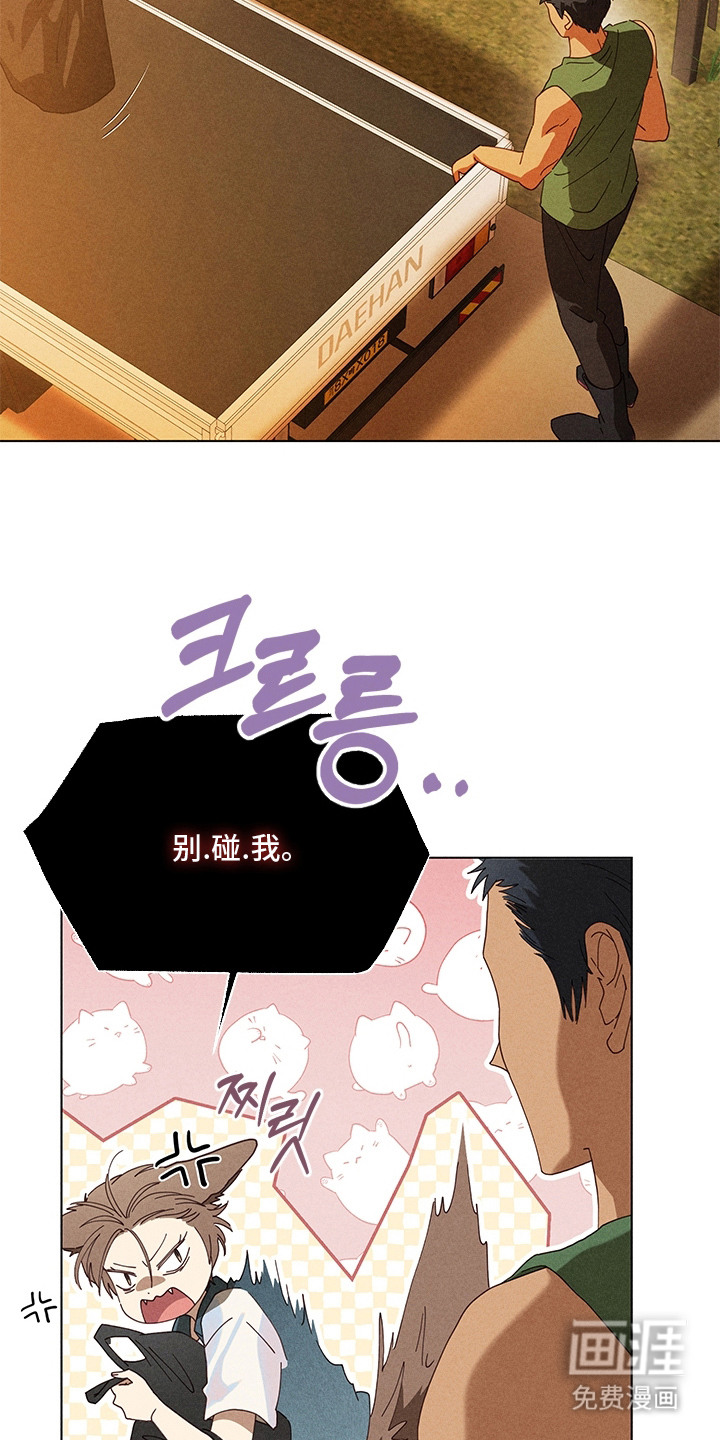 都市美男下乡记漫画-图14