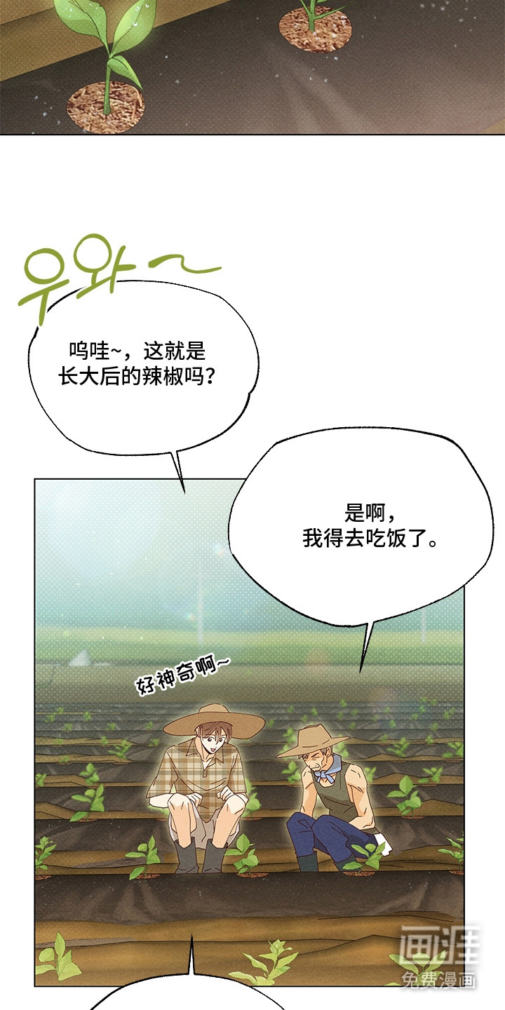 都市美男下乡记漫画-图7