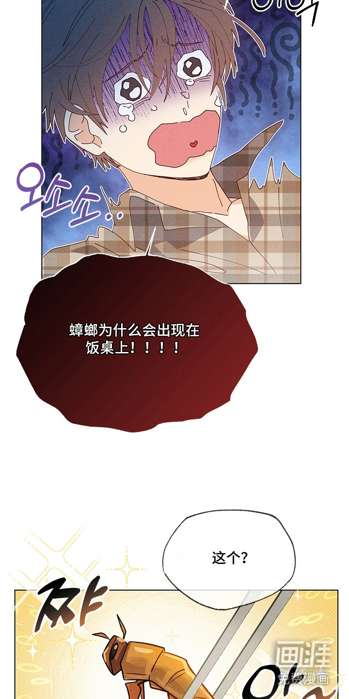 都市美男下乡记漫画-图16