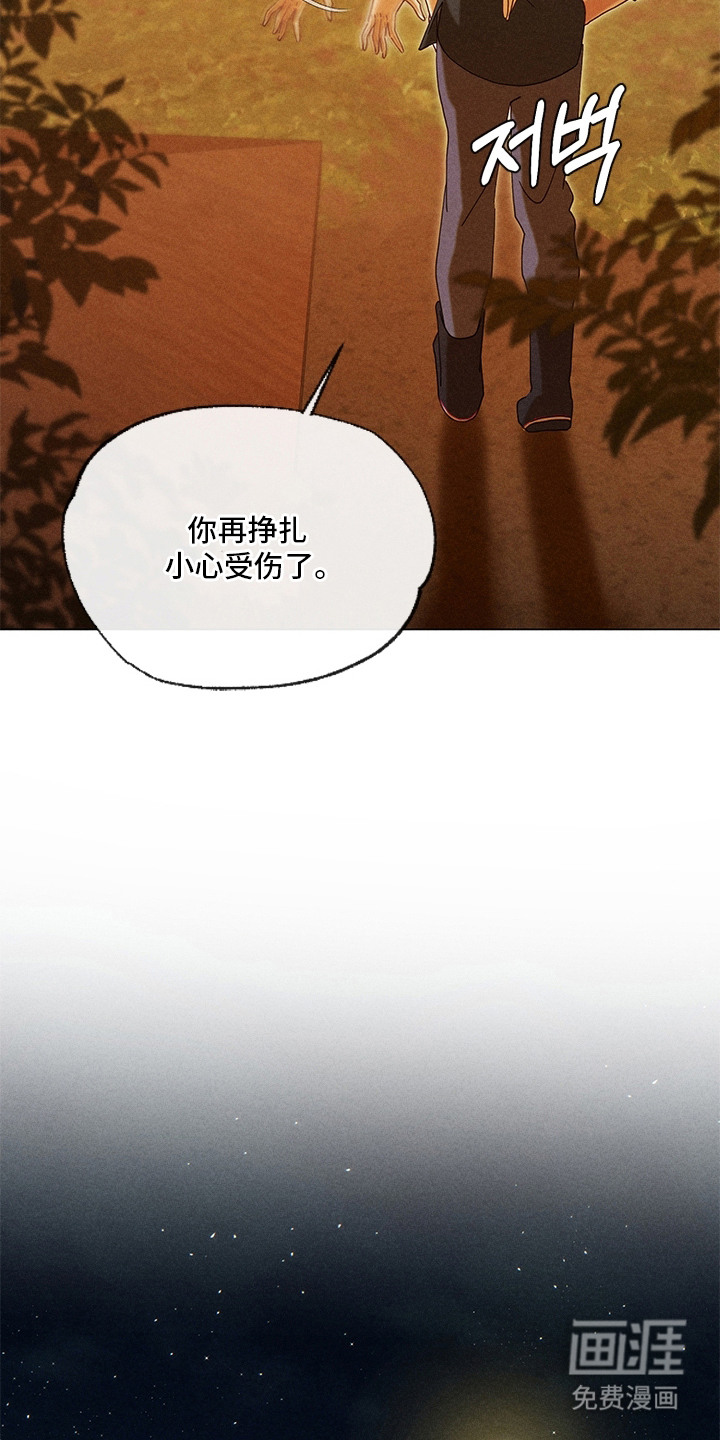 都市美男下乡记漫画-图13