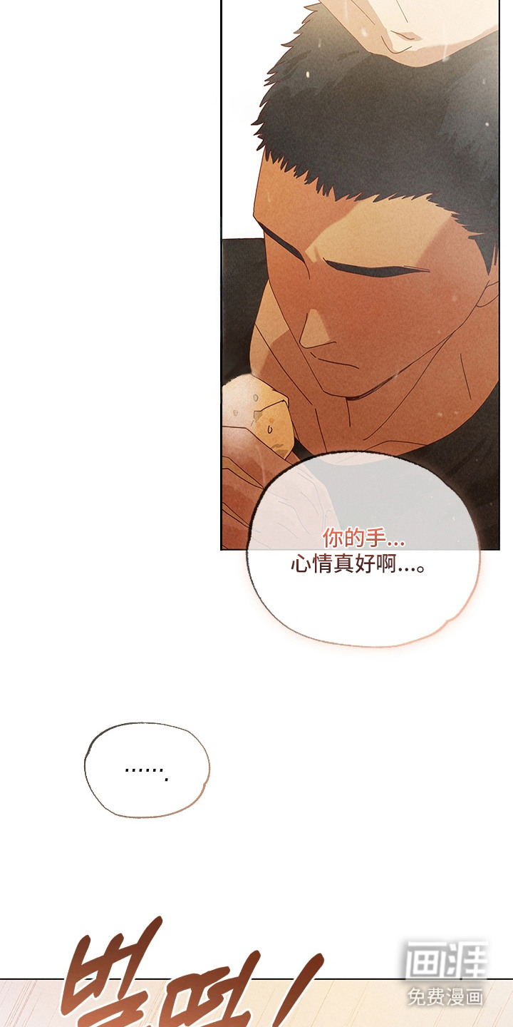 都市美男下乡记漫画-图17